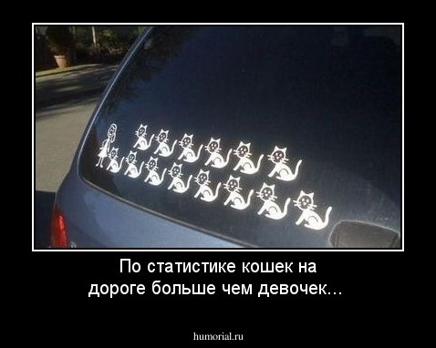 По статистике кошек на дороге больше чем девочек...