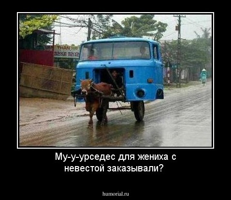 Му-у-урседес для жениха с невестой заказывали?