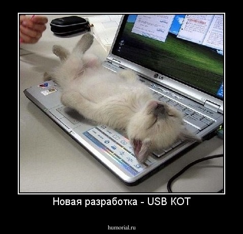 Новая разработка - USB КОТ