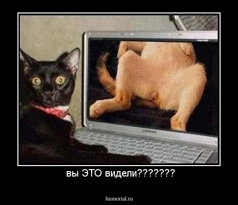  вы ЭТО видели???????