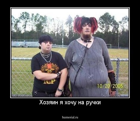 Хозяин я хочу на ручки