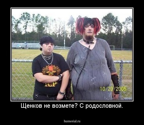 Щенков не возмете? С родословной.