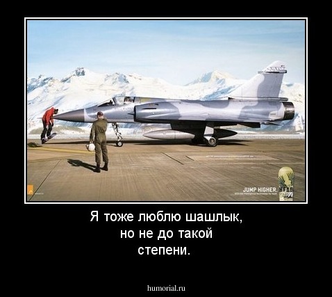 Я тоже люблю шашлык, но не до такой степени.