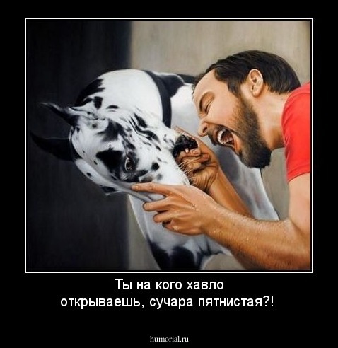 Ты на кого хавло открываешь, сучара пятнистая?!