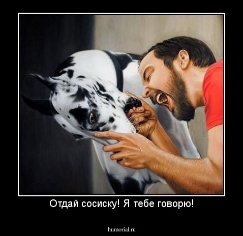 Отдай сосиску! Я тебе говорю!