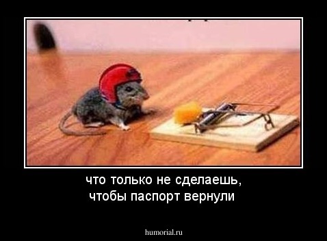 что только не сделаешь, чтобы паспорт вернули
