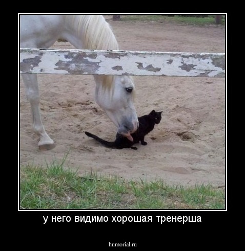 у него видимо хорошая тренерша