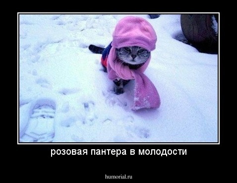 розовая пантера в молодости