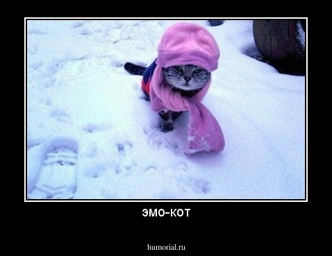 эмо-кот