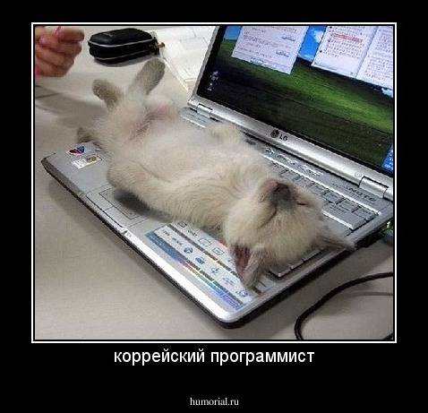 коррейский программист