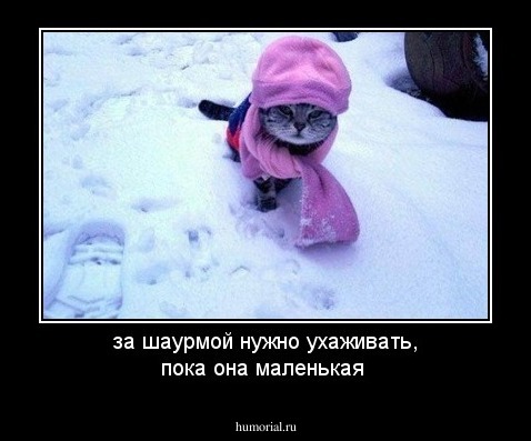 за шаурмой нужно ухаживать, пока она маленькая