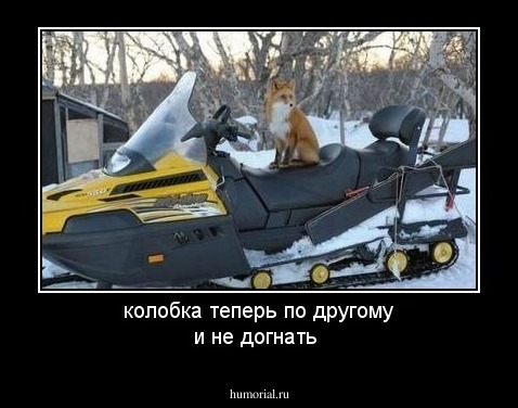 колобка теперь по другому и не догнать
