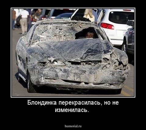 Блондинка перекрасилась, но не изменилась.
