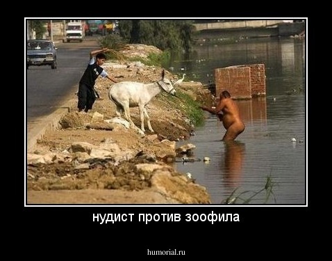 нудист против зоофила