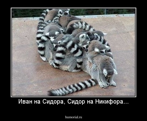 Иван на Сидора, Сидор на Никифора...