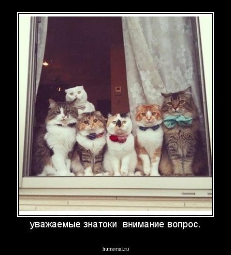 уважаемые знатоки  внимание вопрос.