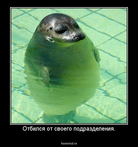 Отбился от своего подразделения.