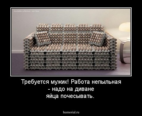 Требуется мужик! Работа непыльная - надо на диване яйца почесывать.