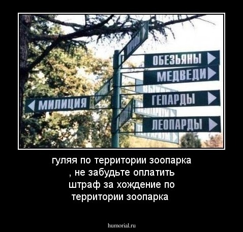 гуляя по территории зоопарка  , не забудьте оплатить штраф  за хождение по территории зоопарка