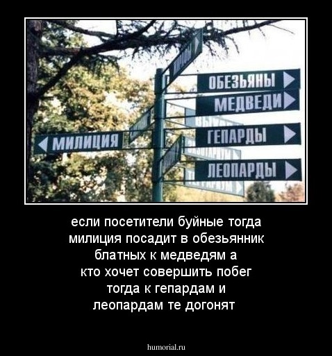если посетители буйные тогда милиция посадит в обезьянник блатных к медведям а кто хочет совершить побег тогда к гепардам и леопардам те догонят 