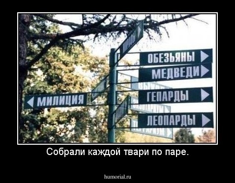Собрали каждой твари по паре.