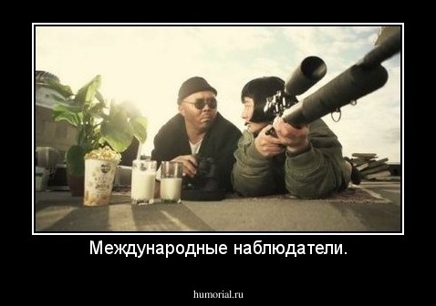 Международные наблюдатели.