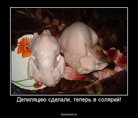 Депиляцию сделали, теперь в солярий!