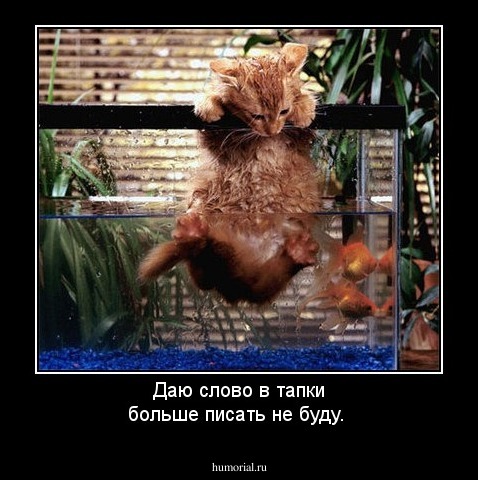 Даю слово в тапки больше  писать не буду.