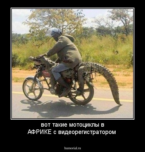 вот такие мотоциклы в АФРИКЕ с видеорегистратором 