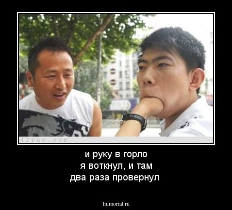и руку в горло я воткнул,  и там два раза провернул