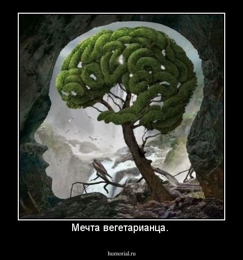 Мечта вегетарианца. 