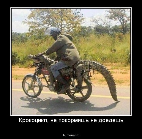 Крокоцикл, не покормишь не доедешь