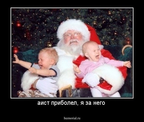 аист приболел, я за него 