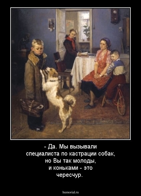 - Да. Мы вызывали специалиста по кастрации собак, но Вы так молоды, и коньками - это чересчур.