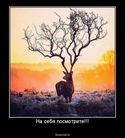 На себя посмотрите!!!