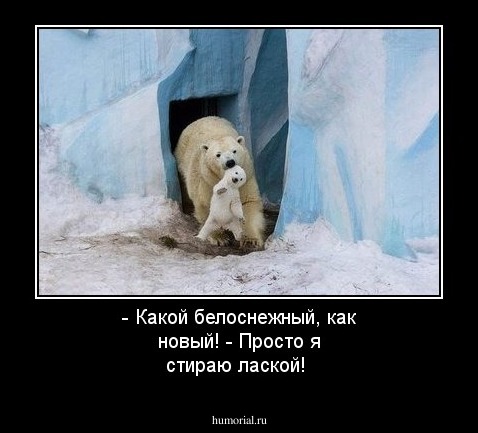 - Какой белоснежный, как новый!
- Просто я стираю лаской!