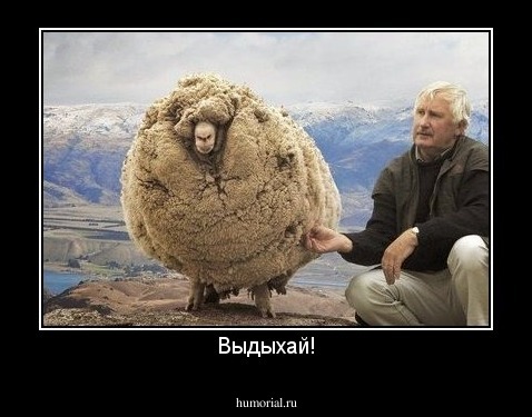 Выдыхай!