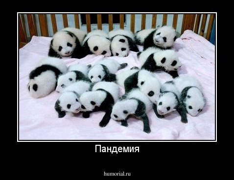 Пандемия