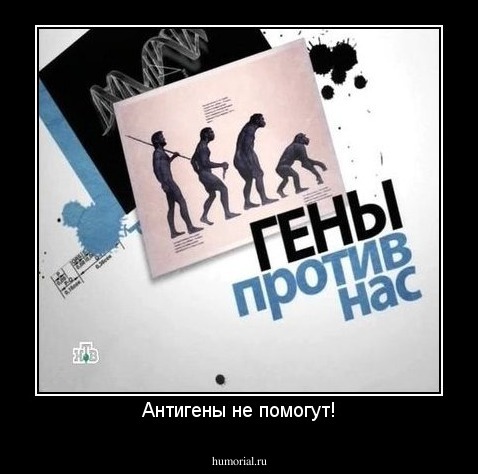 Антигены не помогут!