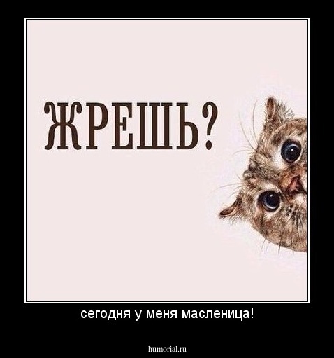 сегодня у меня масленица!