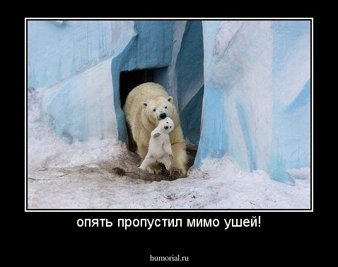 опять пропустил мимо ушей!