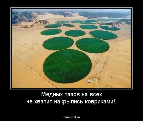 Медных тазов на всех не хватит-накрылись ковриками!