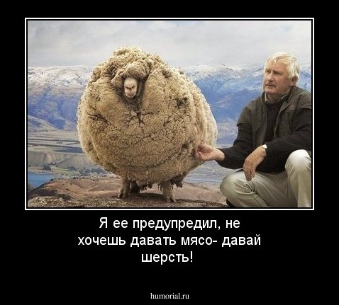 Я ее предупредил, не хочешь давать мясо- давай шерсть!