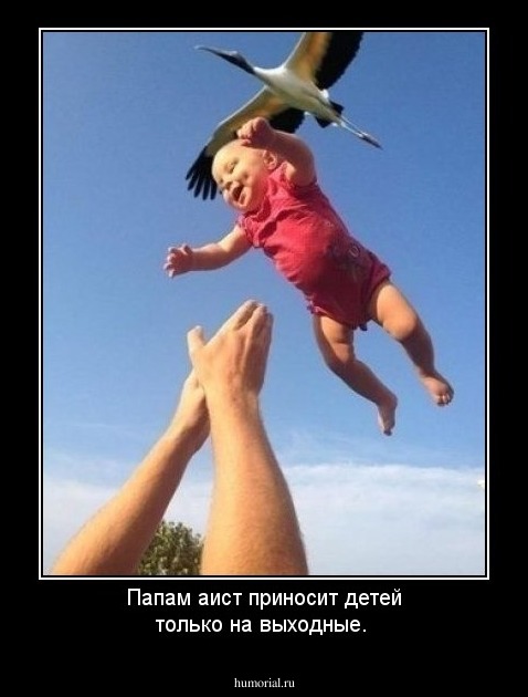Папам аист приносит детей только на выходные.