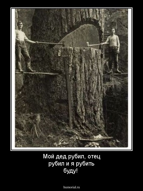 Мой дед рубил, отец рубил и я рубить буду!