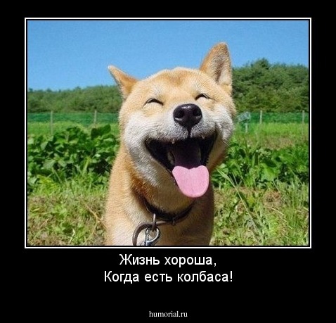 Жизнь хороша,
Когда есть колбаса!