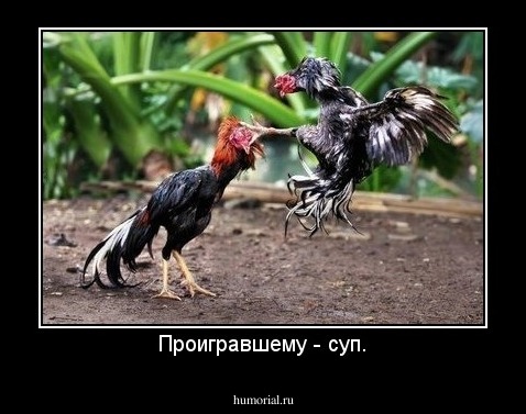Проигравшему - суп.