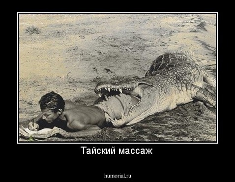 Тайский массаж 