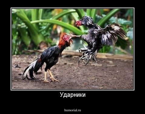 Ударники