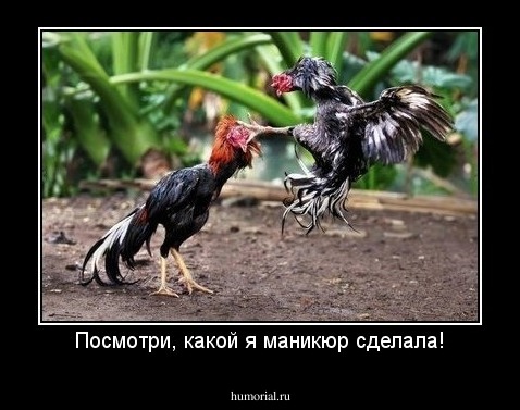 Посмотри, какой я маникюр сделала!